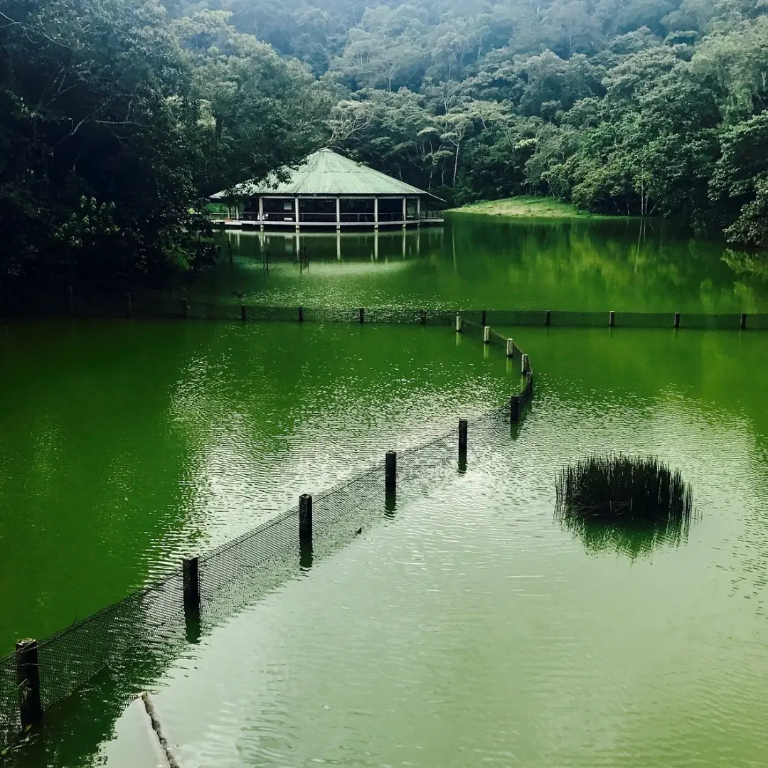 Escapada natural para relajarte y renovar