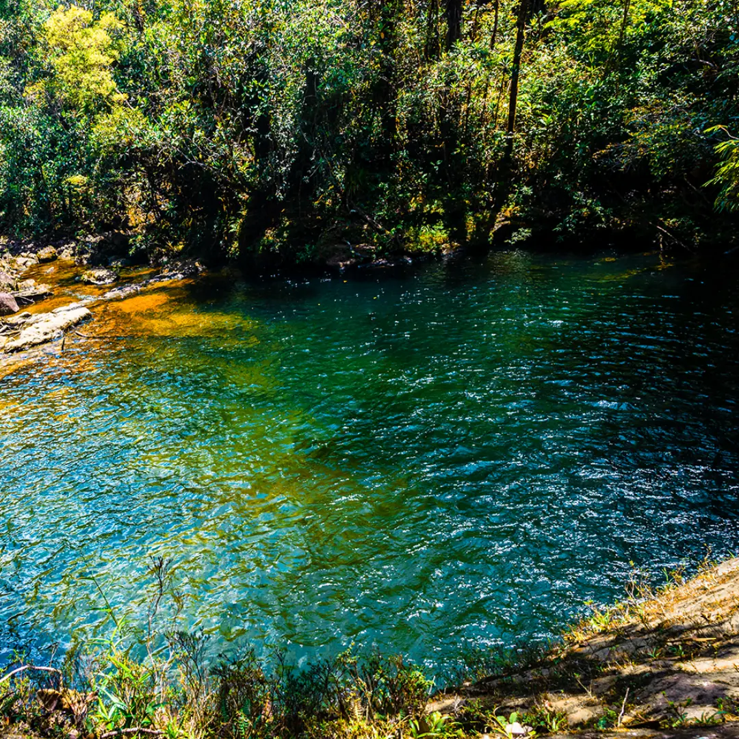 Experiencias que despiertan todos los sentidos