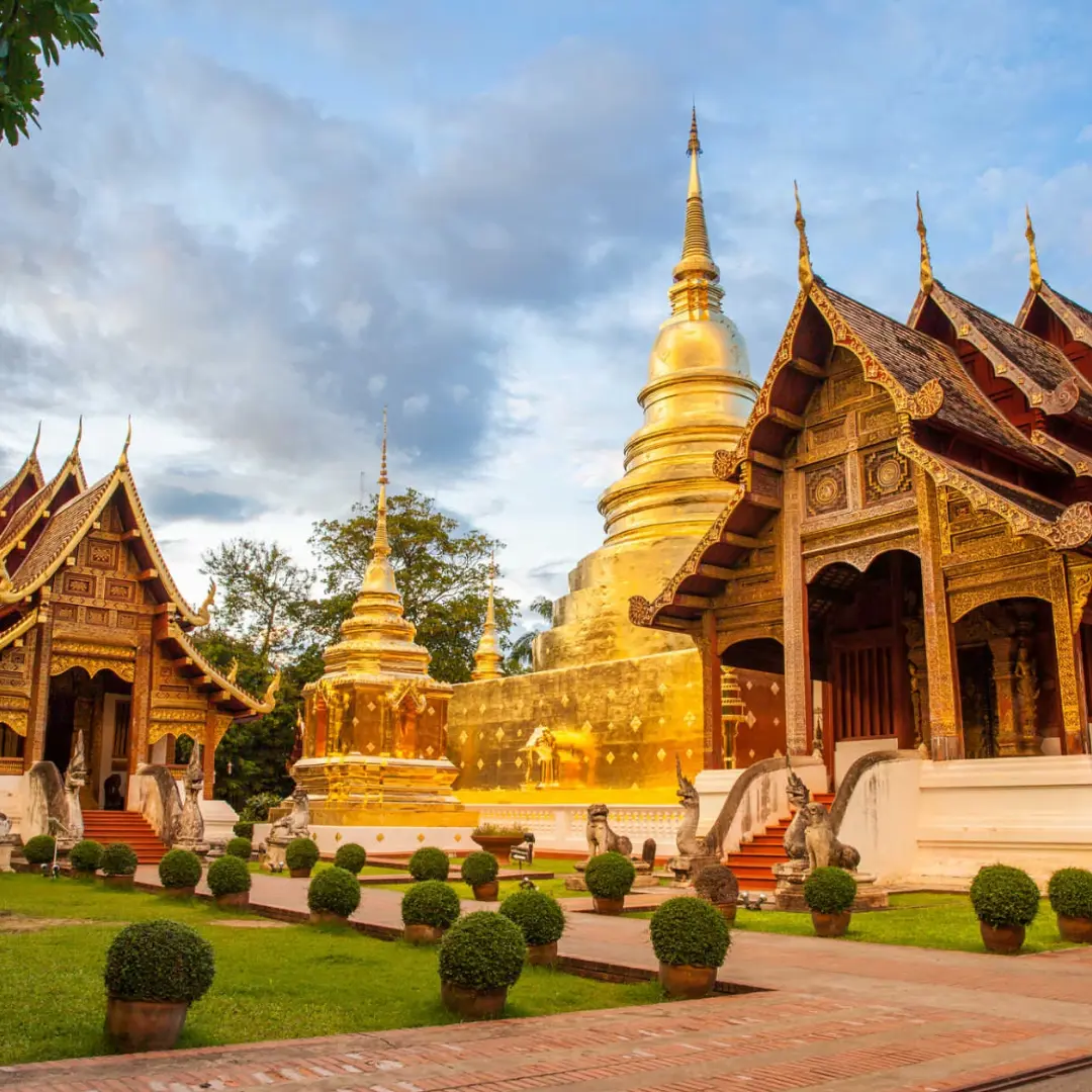 Experiencias que despiertan todos los sentidos