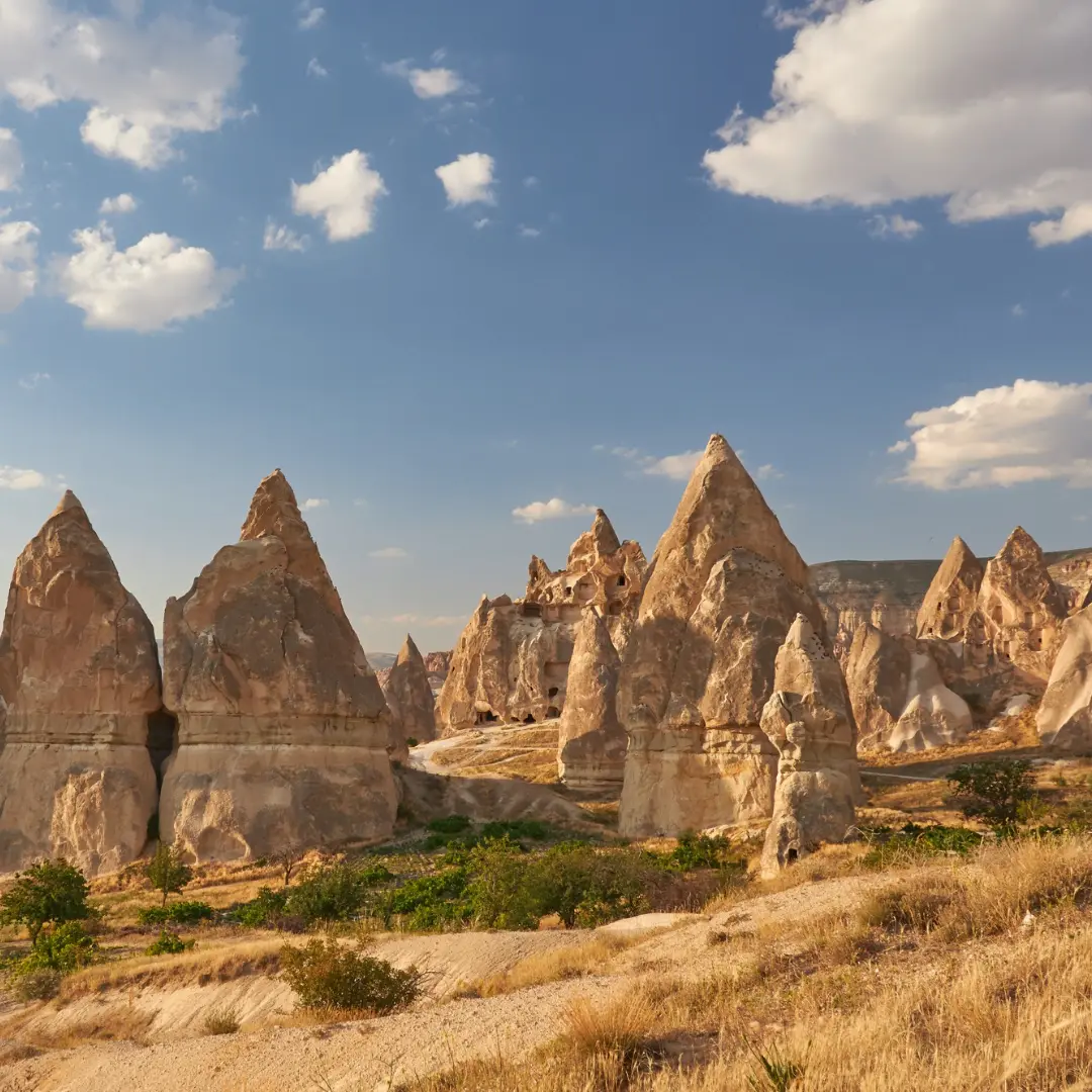 Un viaje al corazón de la historia viva