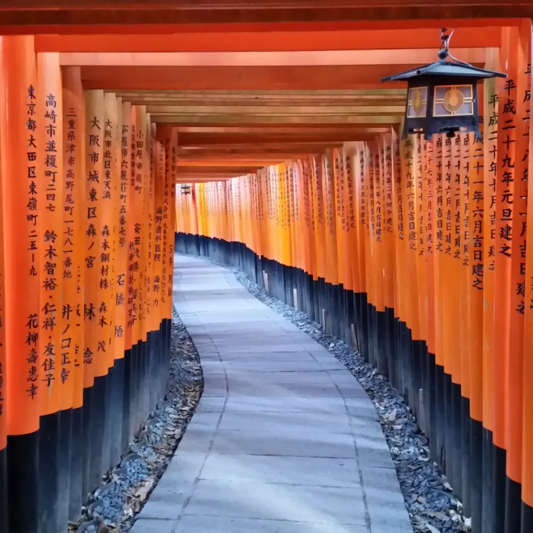 Live an unforgettable journey full of history charm and modernity