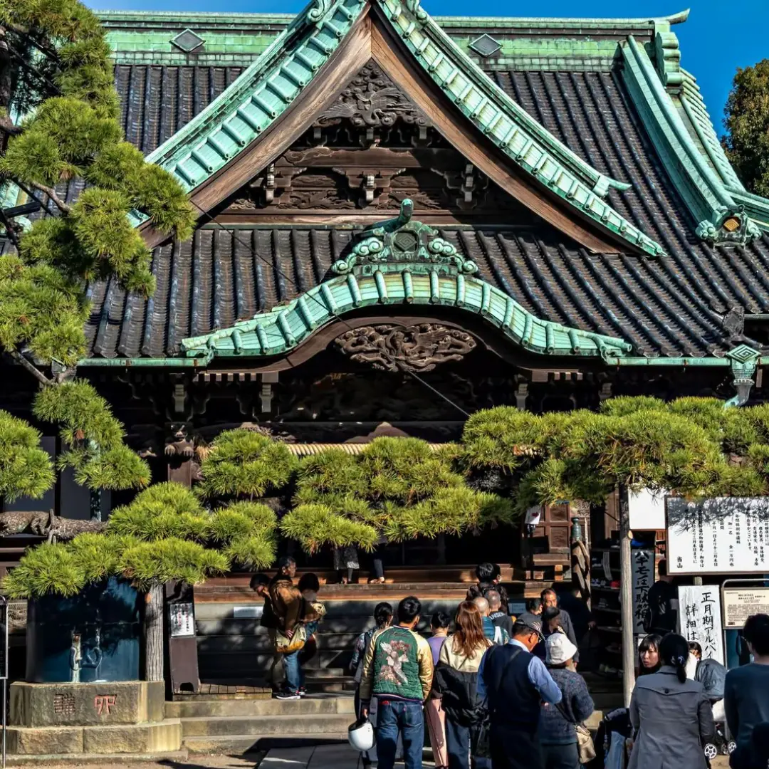 Discover Japanese essence in a journey full of culture and charm