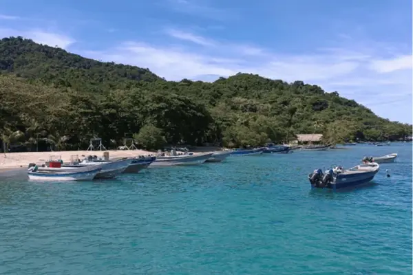 Discover virgin beaches adventures and the charm of Chocó