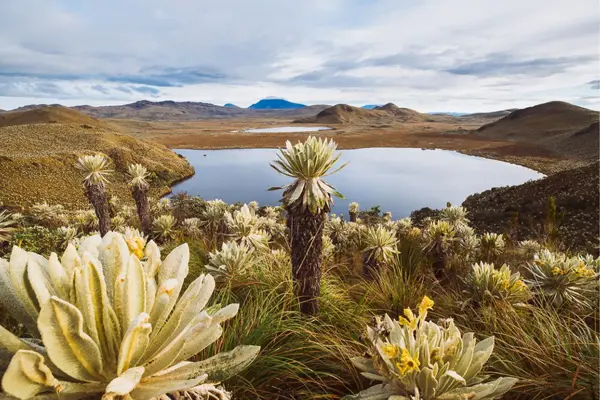 Discover Cali, Popayán, Pasto and the Sanctuary of Las Lajas in one trip