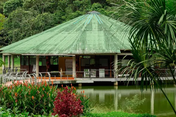 Putumayo Amazon rainforest with waterfalls and pink dolphins